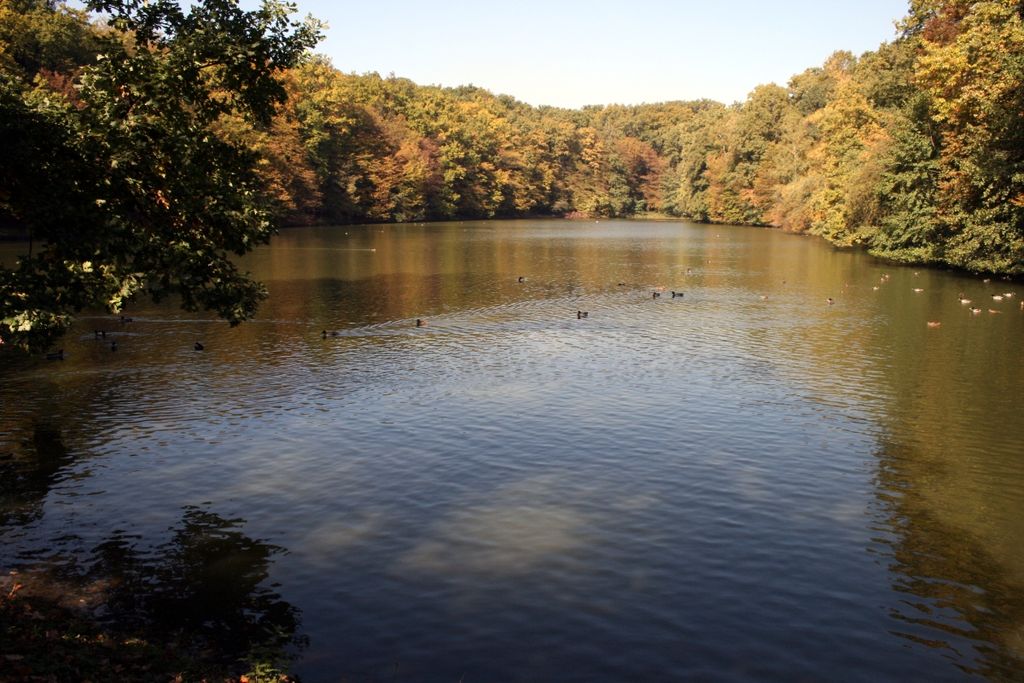 Photo №3 of Treće Maksimirsko jezero