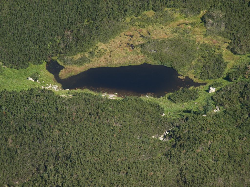 Photo №2 of Malé Čierne pleso