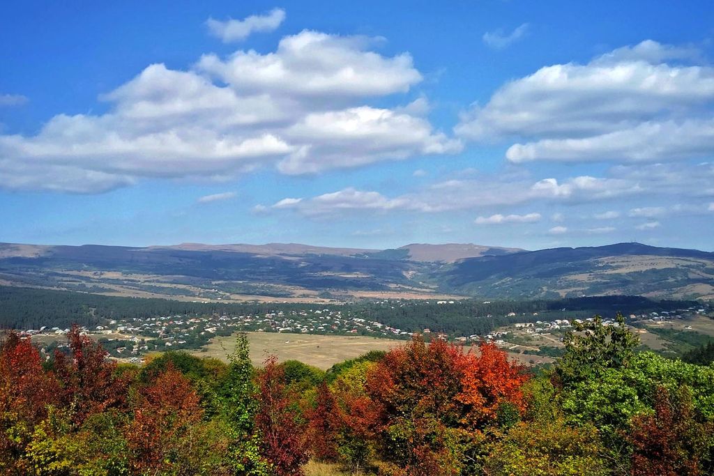 Photo №2 of Manglisi