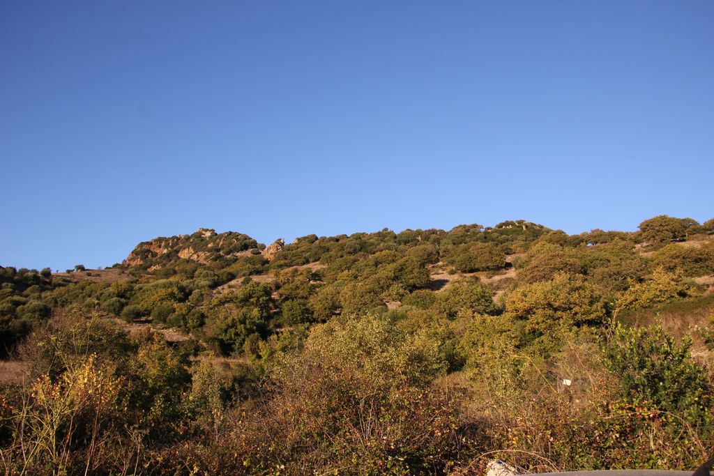 Photo №2 of Castello di Bonvei