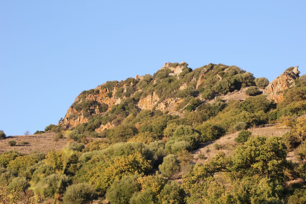 Photo №3 of Castello di Bonvei