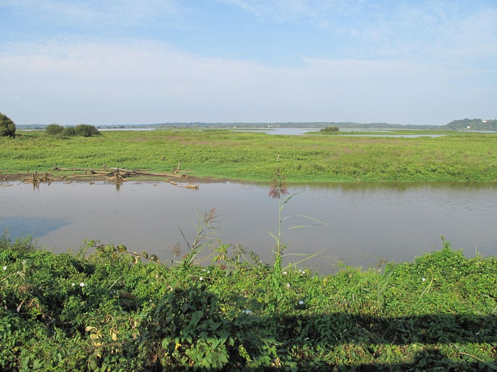 Photo №2 of Le Marais d'Orx
