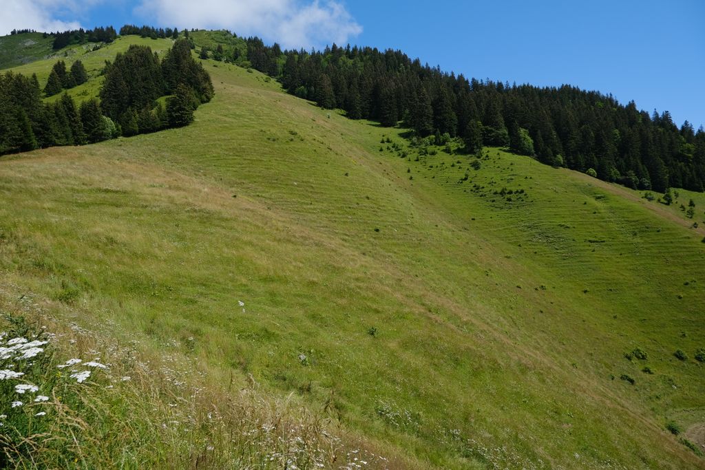 Photo №2 of Col du Fer