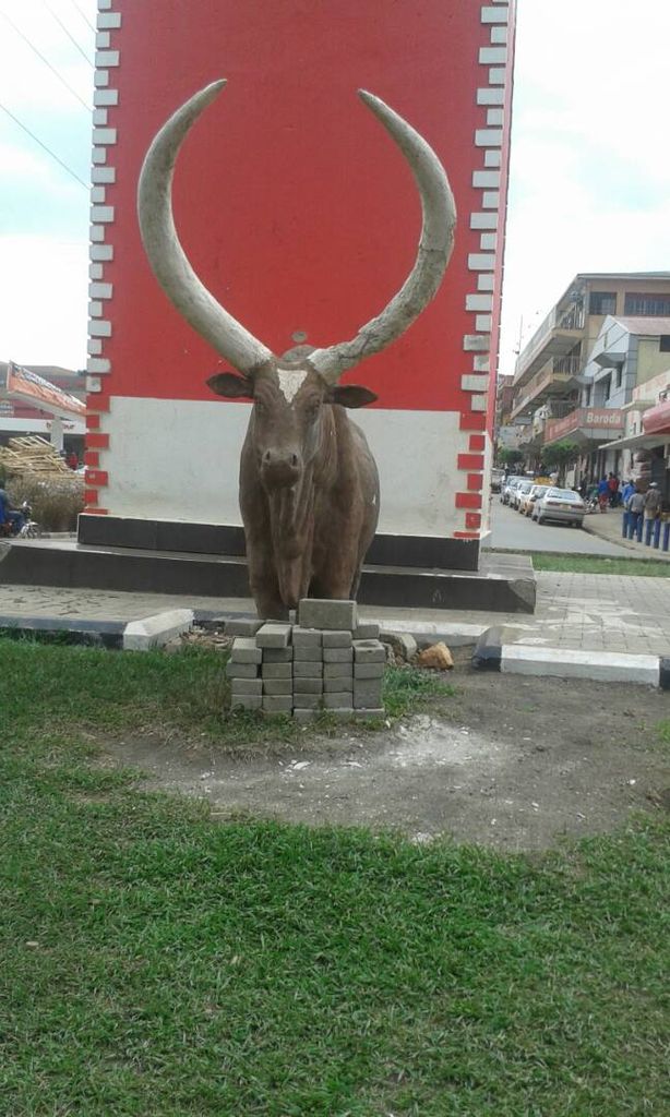 Photo №2 of Mbarara