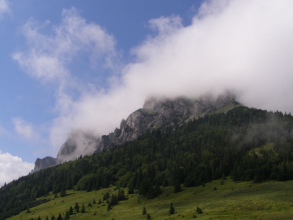 Photo №3 of Medziholie