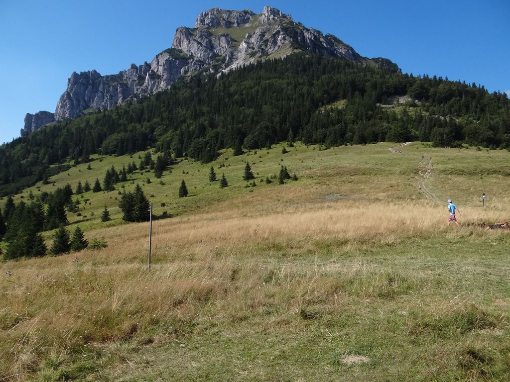 Photo №5 of Medziholie
