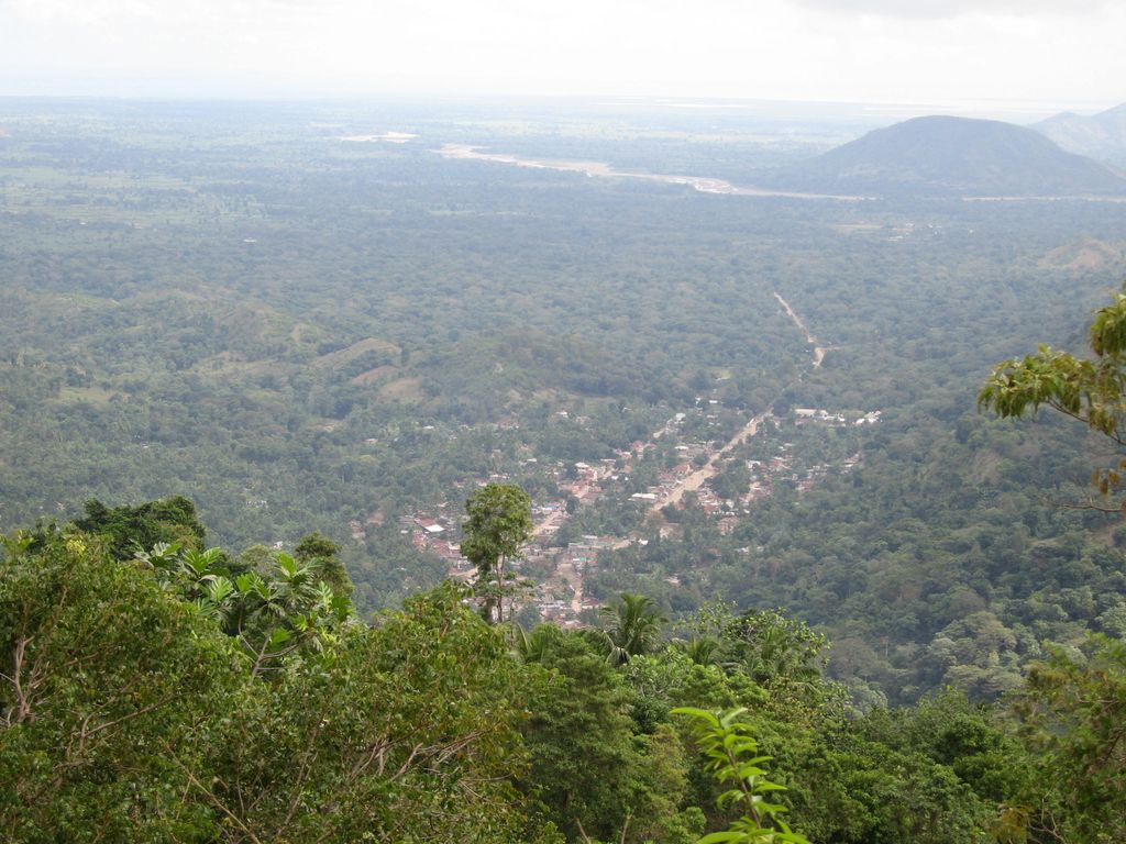 Photo №5 of Milot
