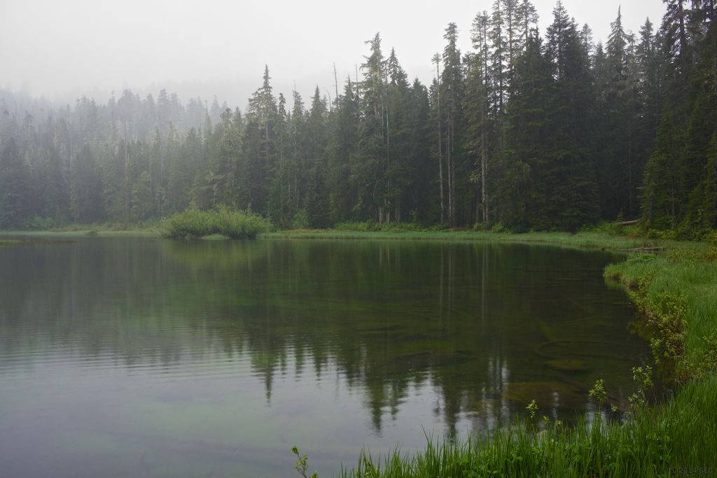 Photo №2 of Mink Lake