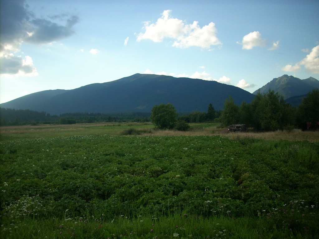 Photo №3 of Mládky