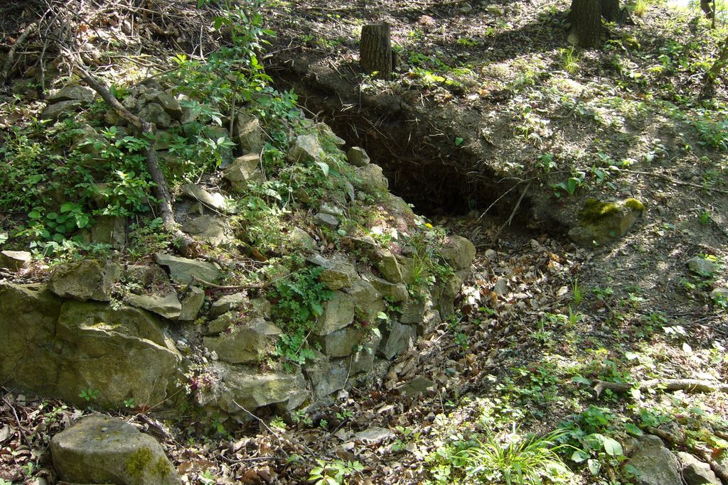 Photo №3 of Strážný