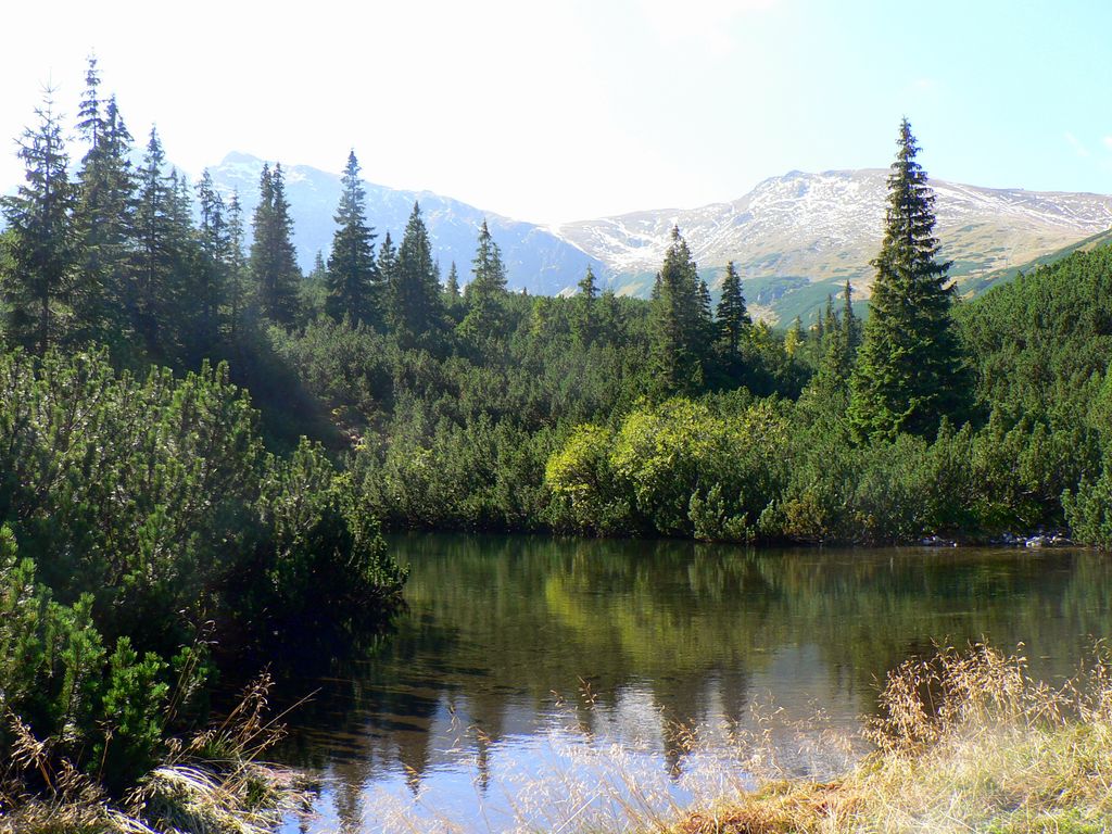 Photo №2 of Mokra Jama