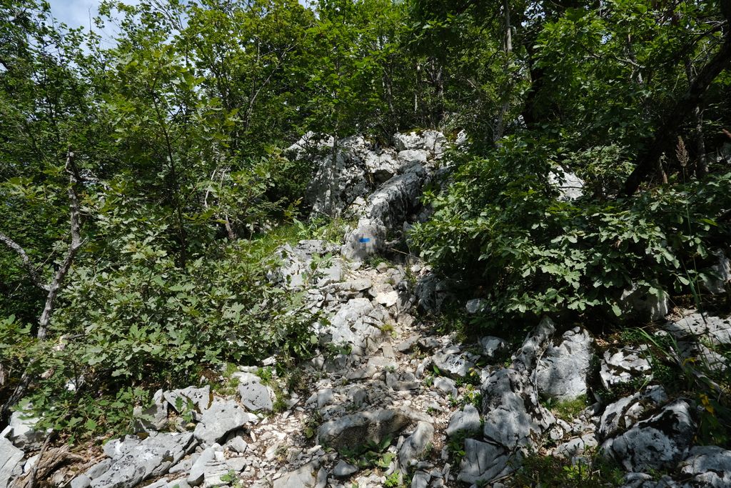 Photo №4 of Mamelon de Beauregard