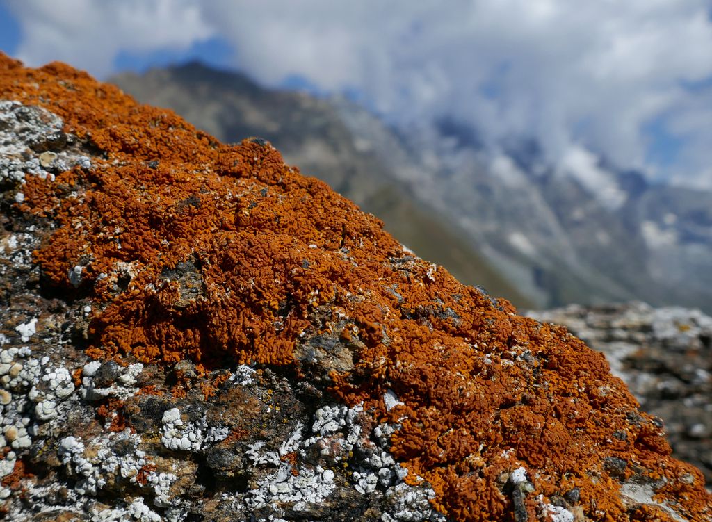 Photo №4 of Monte Pancherot