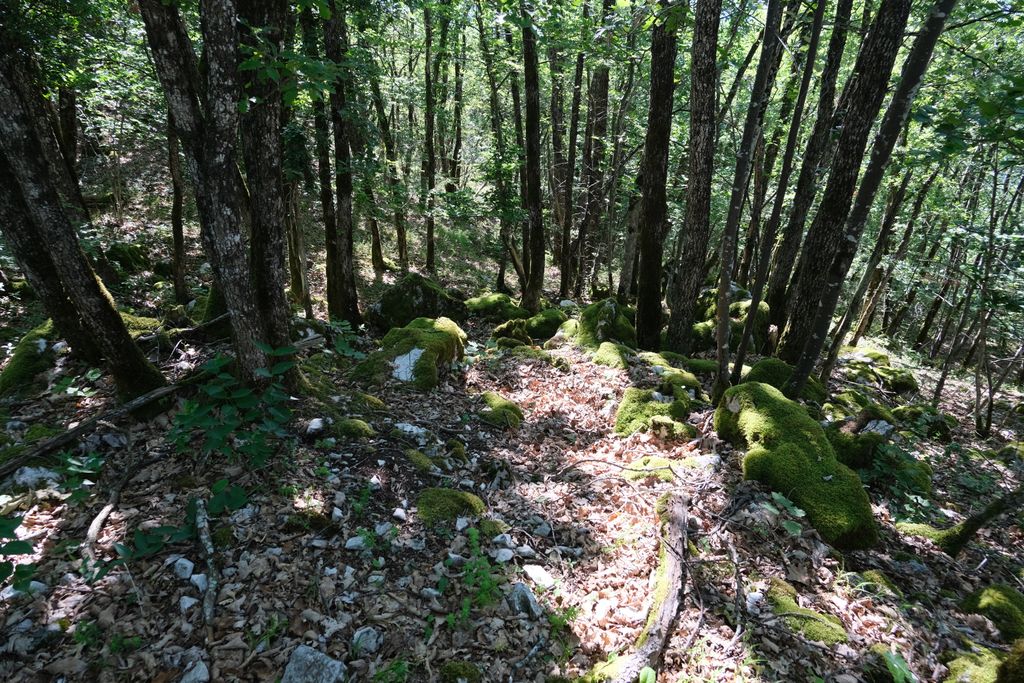 Photo №2 of Mont Pelé
