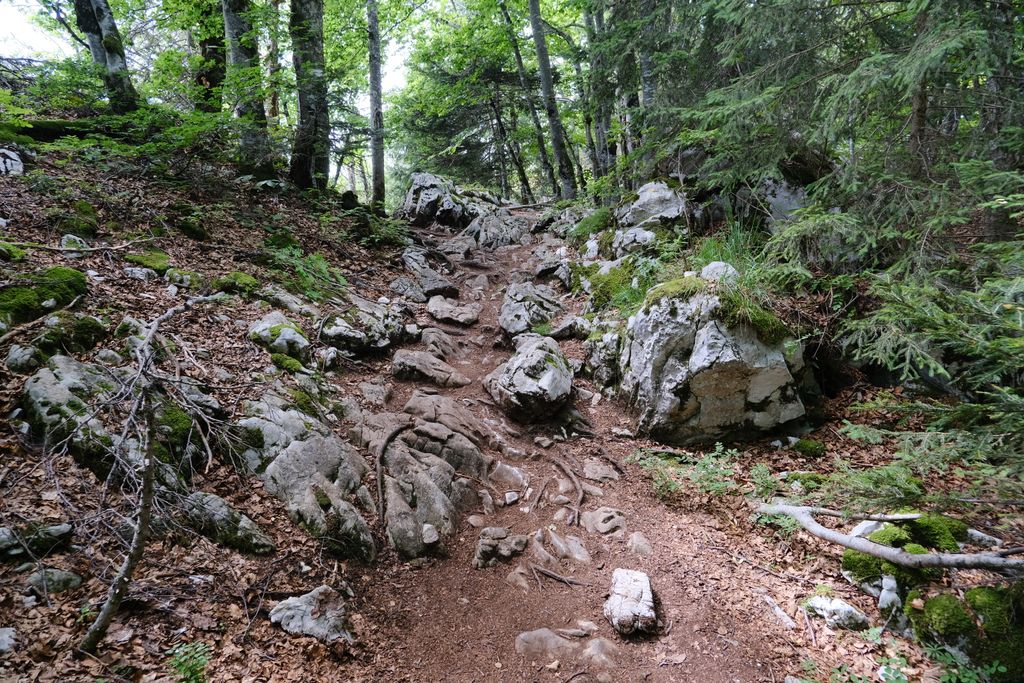 Photo №5 of Mont Veyrier