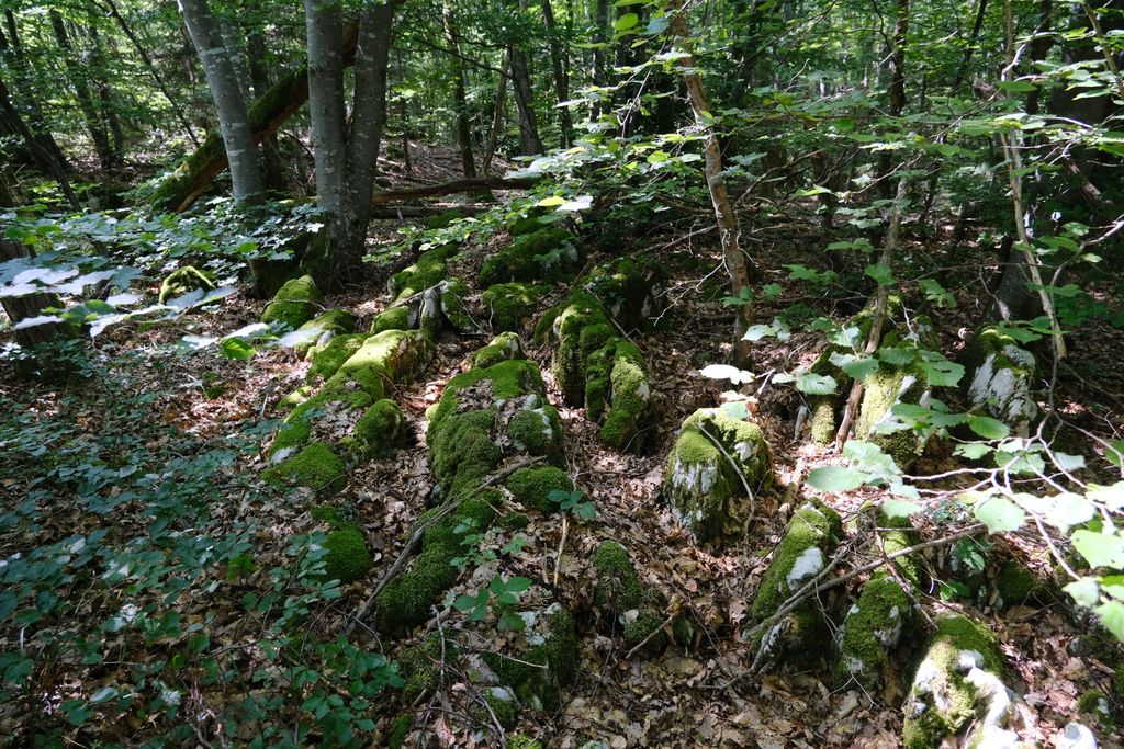 Photo №2 of Montagne de la Mandallaz