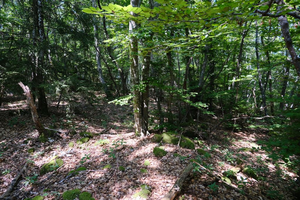 Photo №3 of Montagne de la Mandallaz