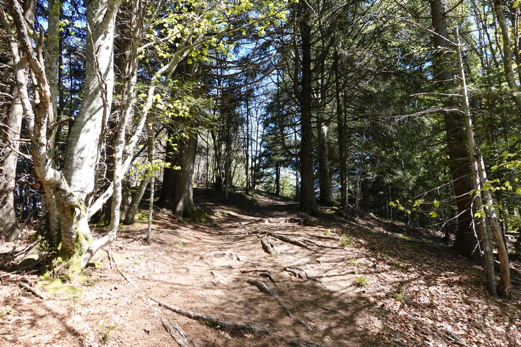 Photo №5 of Le Pralère