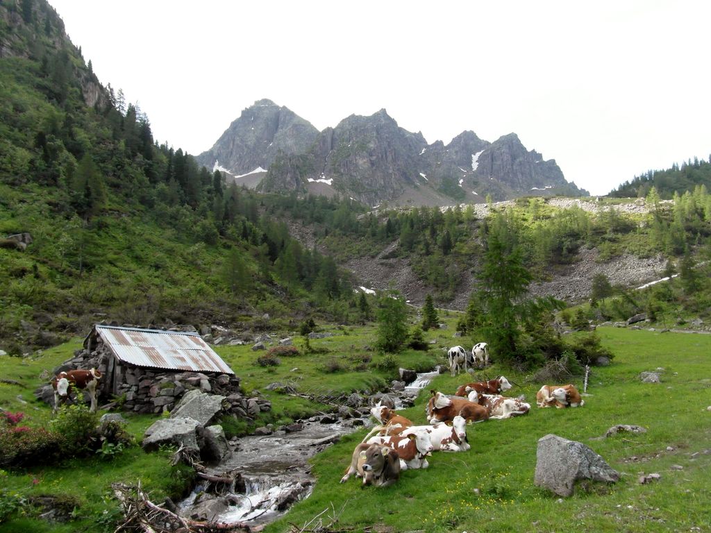 Photo №2 of Monte Cauriol