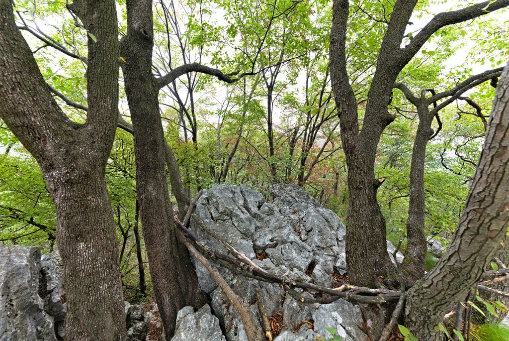 Photo №3 of Monte Croce dell'Orsa