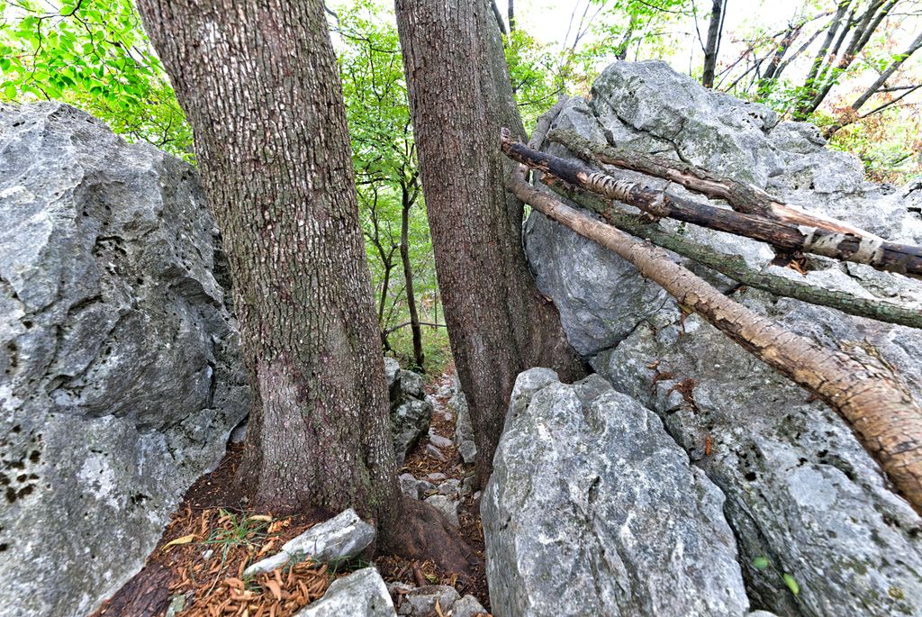 Photo №4 of Monte Croce dell'Orsa
