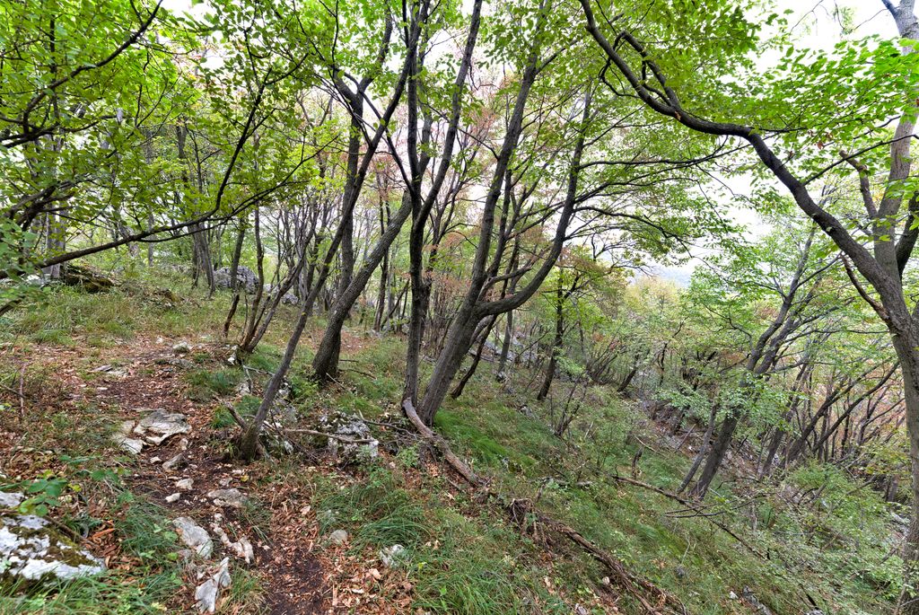 Photo №5 of Monte Croce dell'Orsa