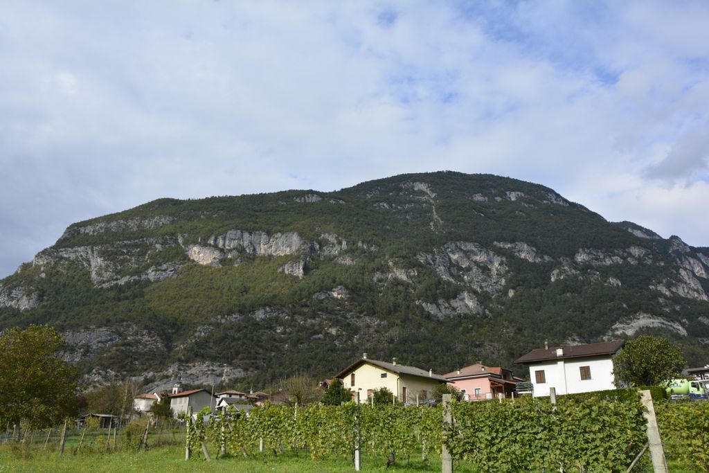 Photo №2 of Monte Lefre