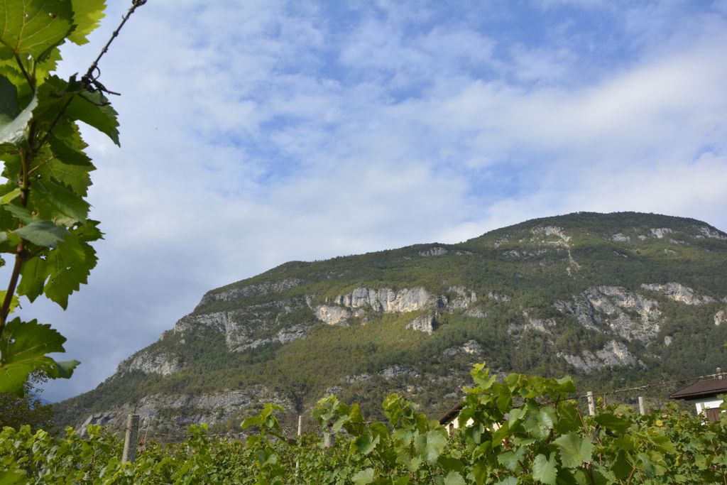 Photo №3 of Monte Lefre