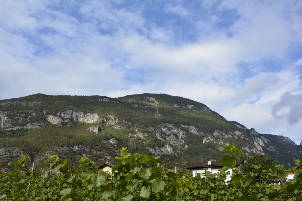 Photo №4 of Monte Lefre
