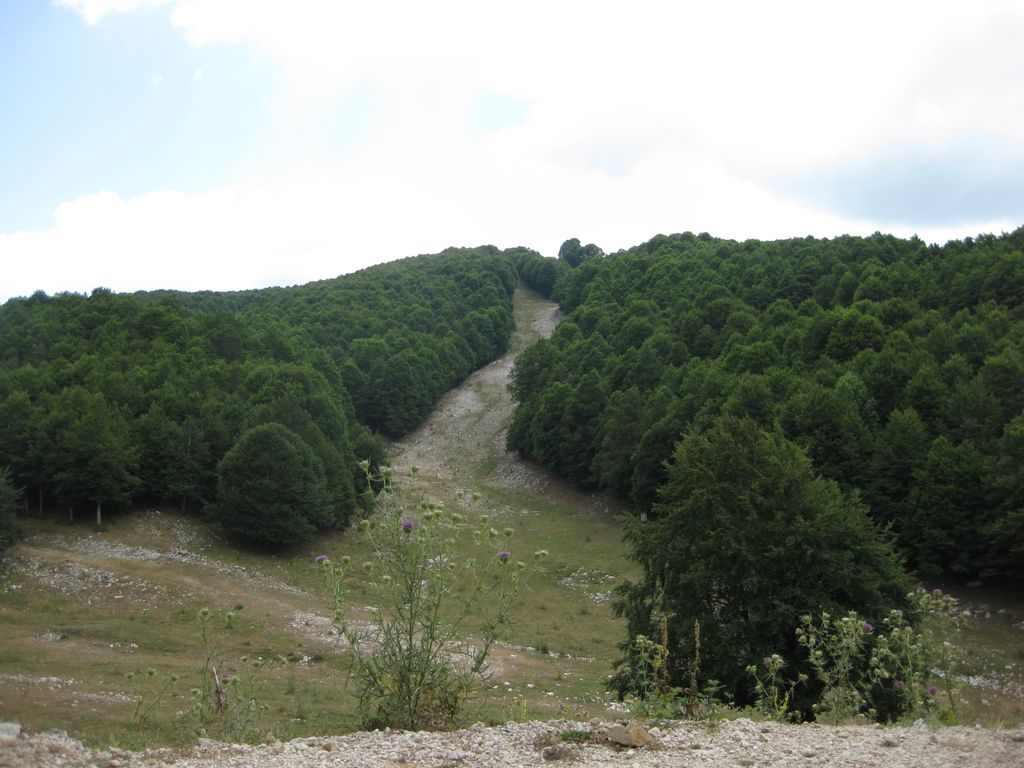 Photo №1 of Colle Rotoli