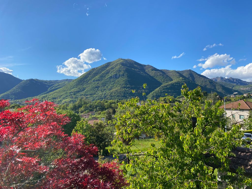 Photo №2 of Monte Rena