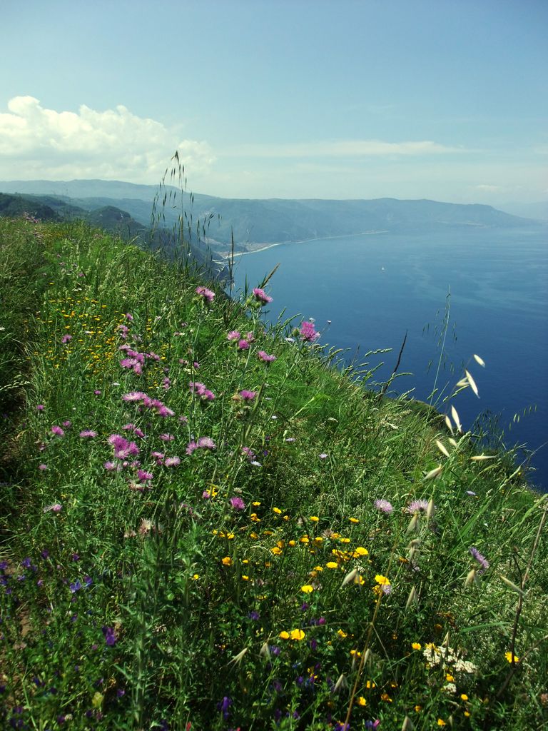 Photo №3 of Monte Sant'Elia