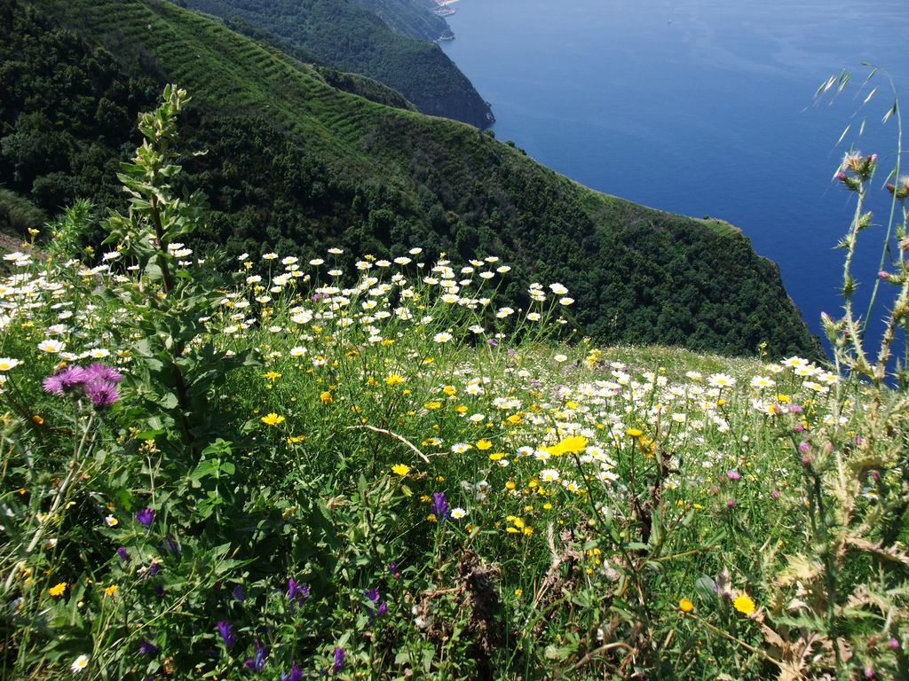 Photo №4 of Monte Sant'Elia