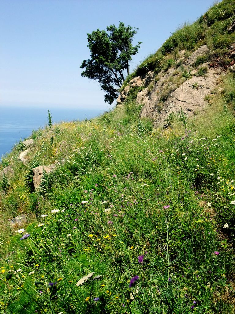 Photo №5 of Monte Sant'Elia
