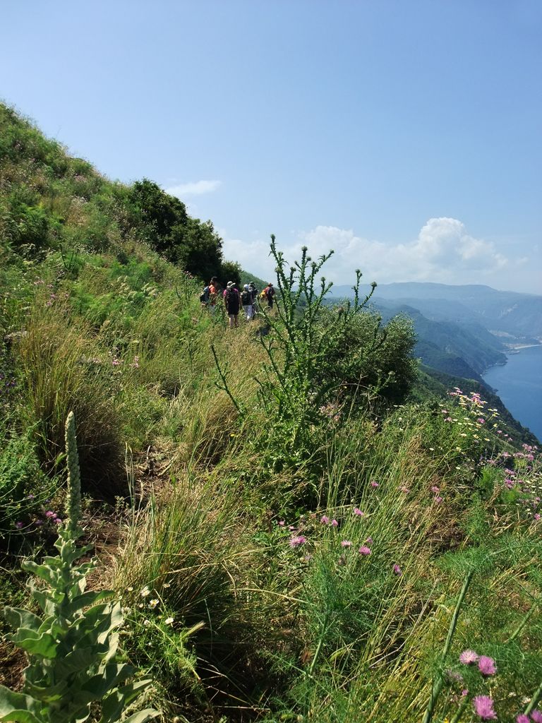 Photo №2 of Monte Sant'Elia