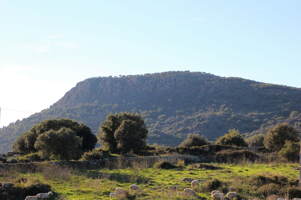 Photo №2 of Monte Traessu