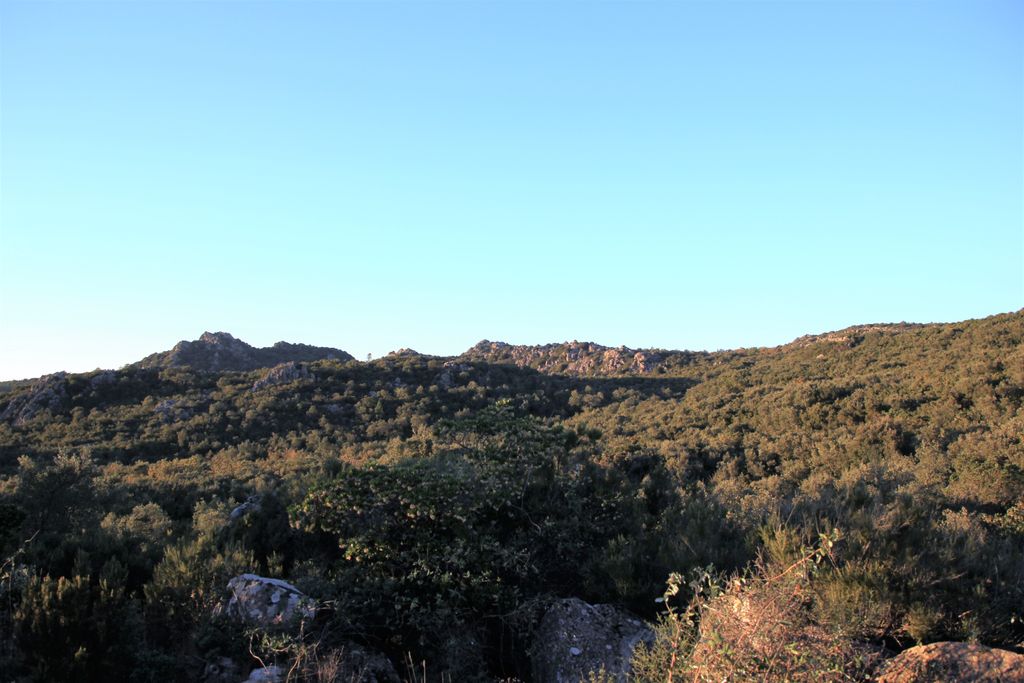 Photo №6 of Monte Traessu