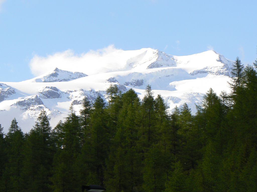 Photo №2 of Felikhorn