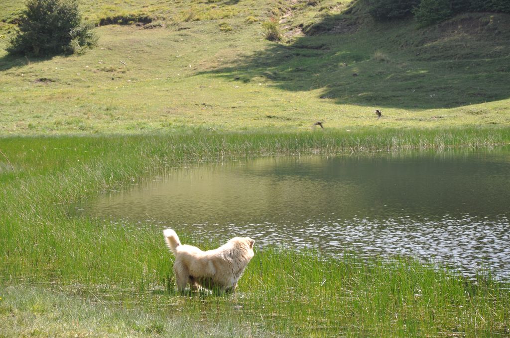 Lago Secco