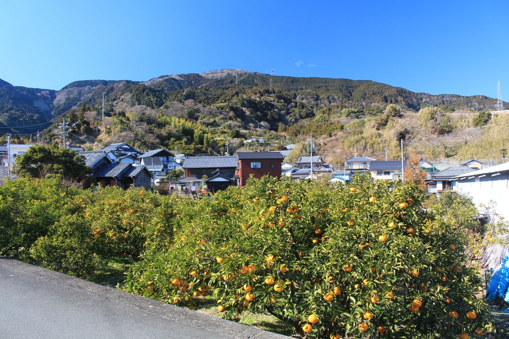Photo №1 of Hamaishidake