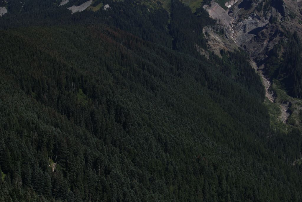 Photo №3 of Bald Mountain