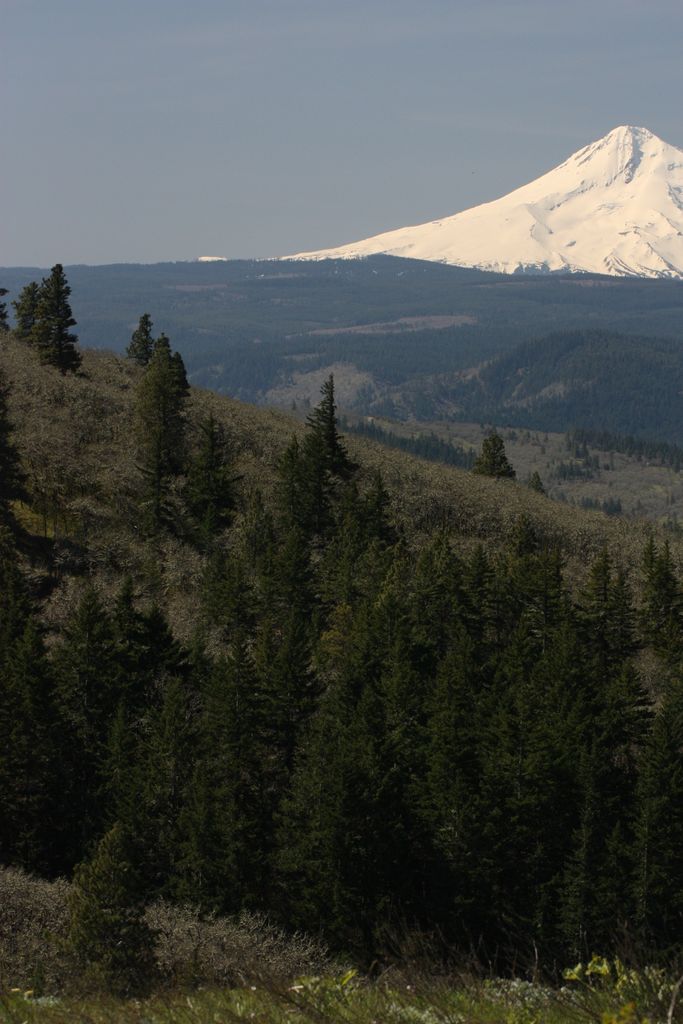 Photo №2 of McCall Point