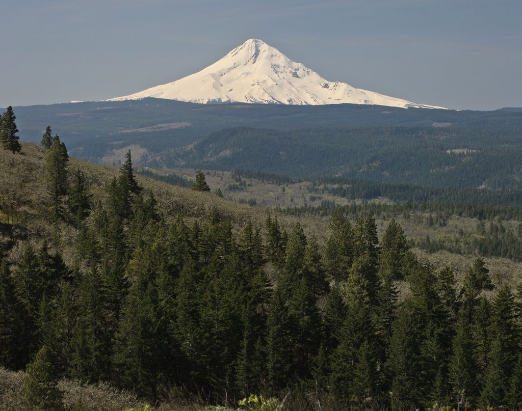 Photo №3 of McCall Point