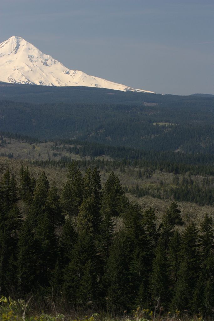 Photo №4 of McCall Point