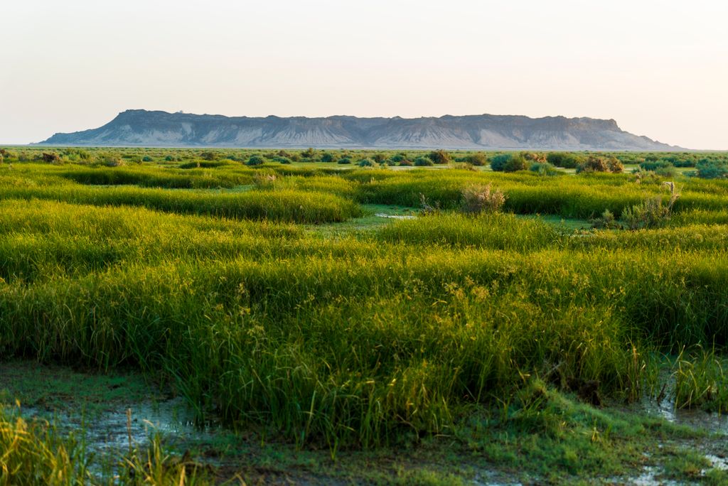 Photo №3 of کوه خواجه