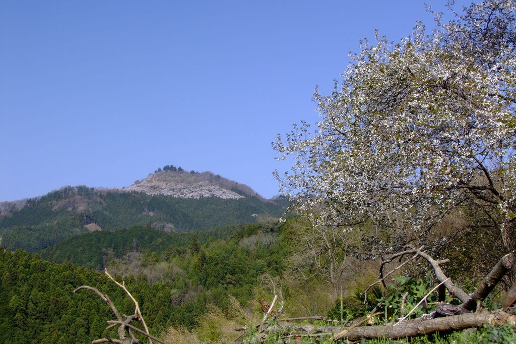 Photo №2 of Sakurayama