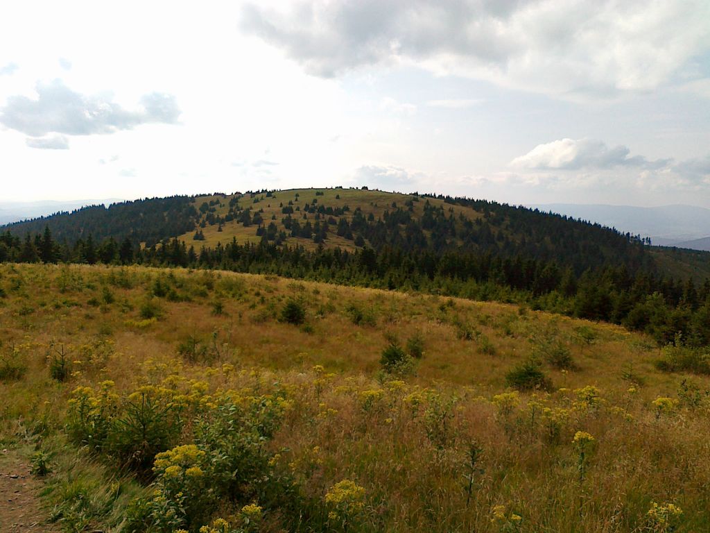 Photo №2 of Mravenečník