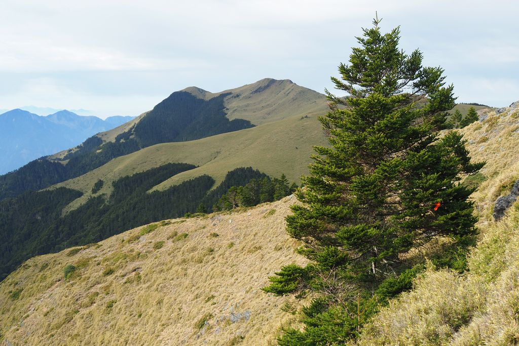 Photo №1 of Daxueshan