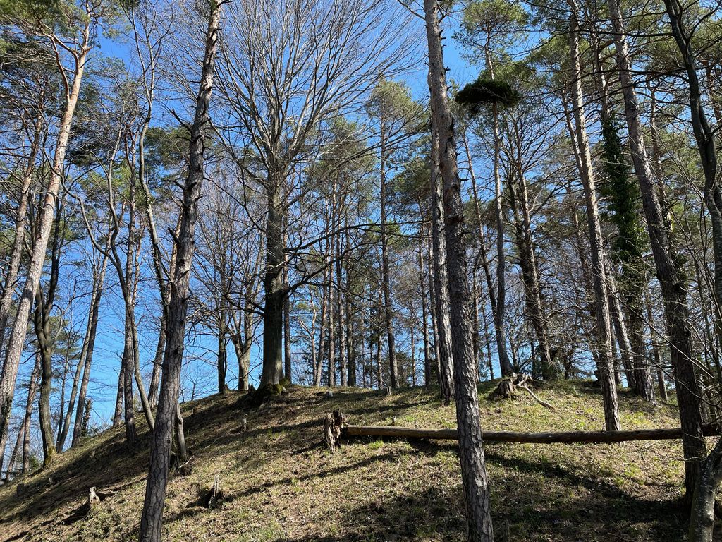 Photo №2 of Multberg