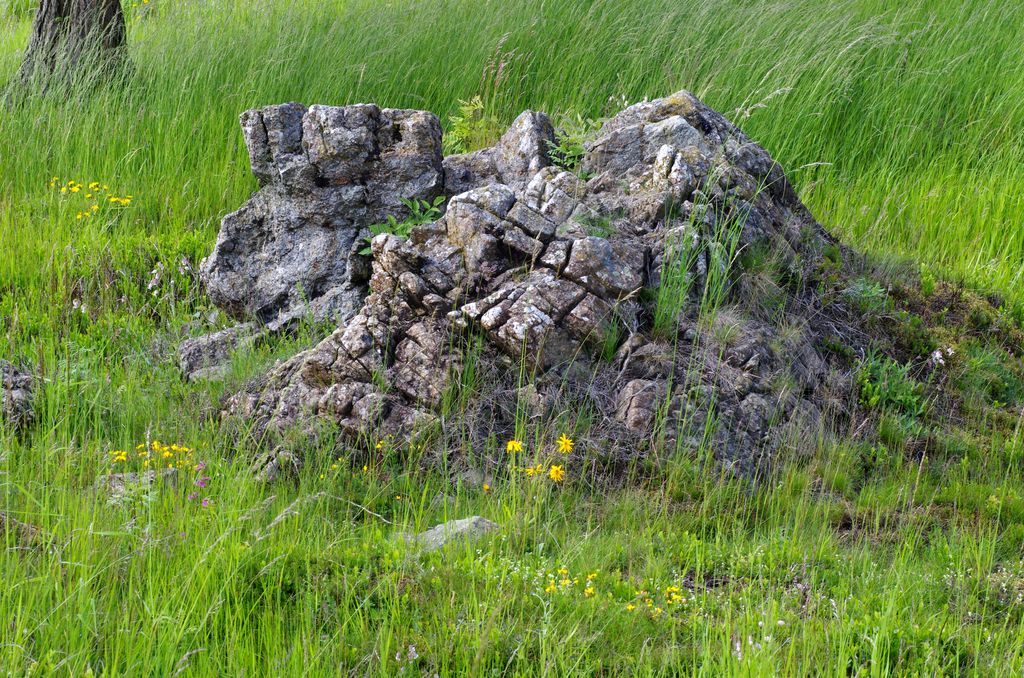 Photo №2 of U Tří křížů [Prameny]